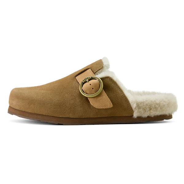 ARIAT WM SHERPA MULE