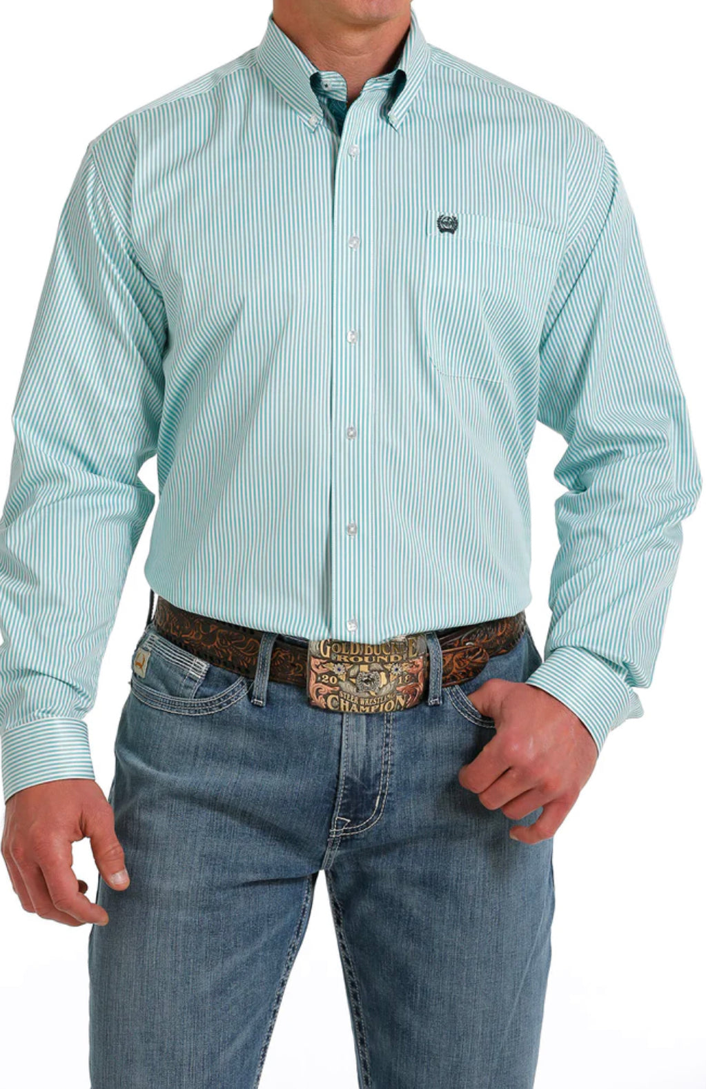 Cinch Mn Tencel Stripe Green LS