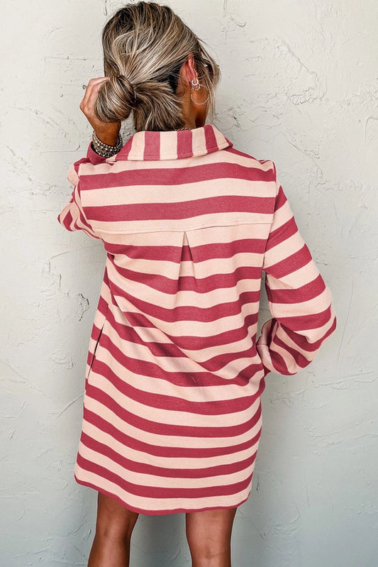 STRIPE COLLARED LS DRESS