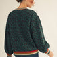 CREW STRIPE CHEETAH SWEATER
