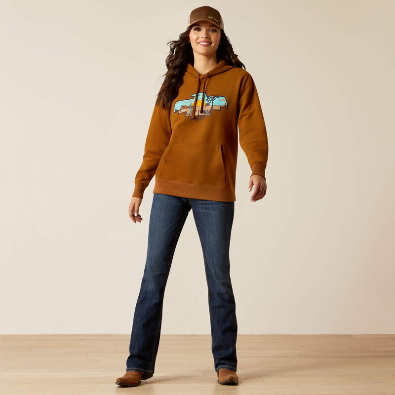 ARIAT WM HORIZON HOODIE