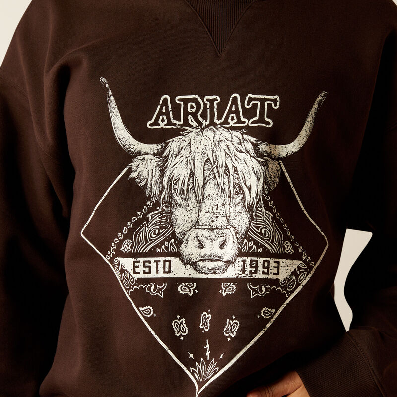 ARIAT WMS TAURUS SWEATER