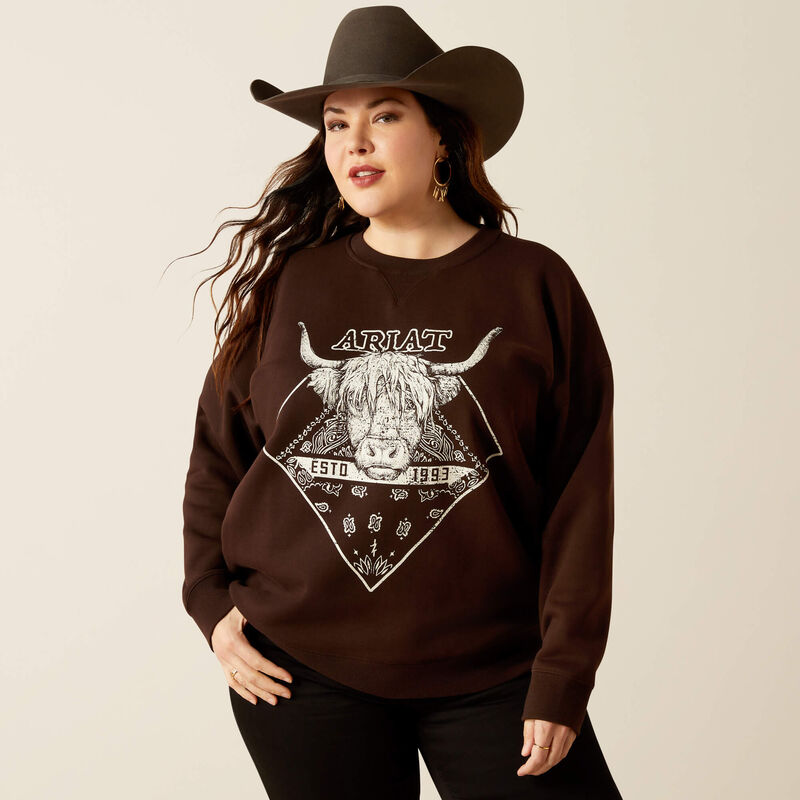 ARIAT WMS TAURUS SWEATER