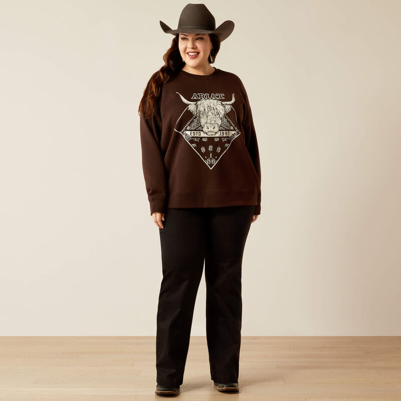 ARIAT WMS TAURUS SWEATER