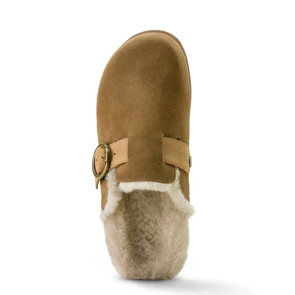 ARIAT WM SHERPA MULE