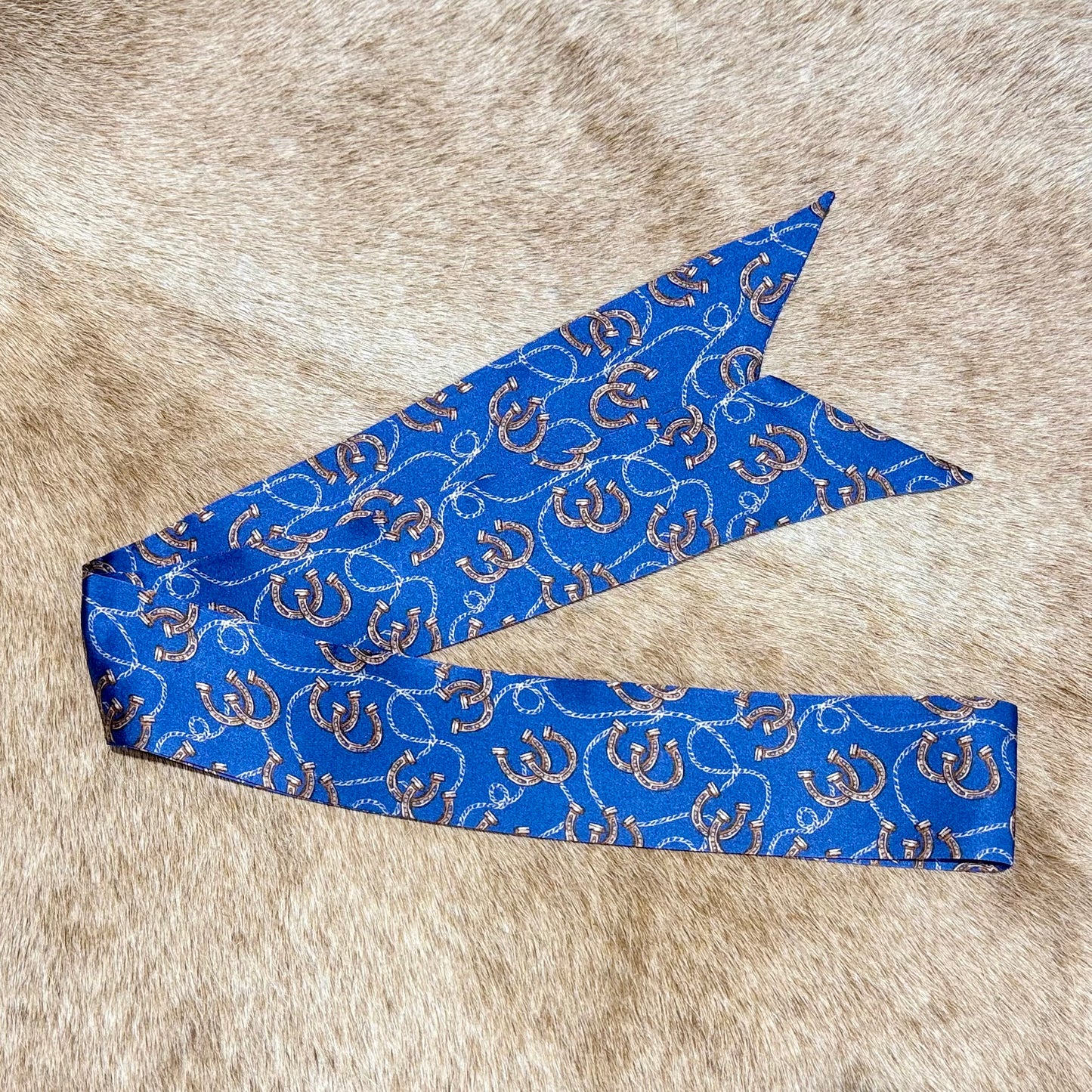 Horseshoes and Rope Blue Twilly