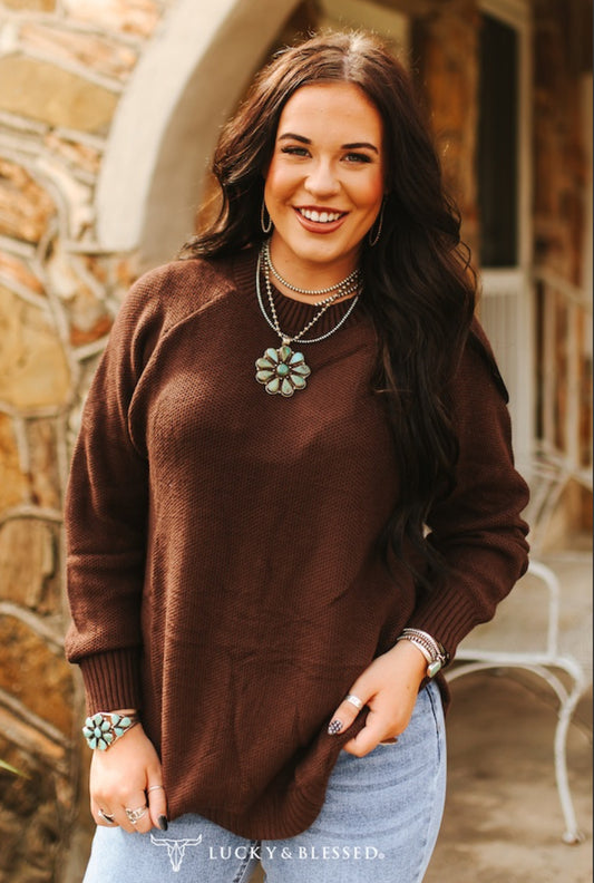 BROWN BUFFALO SWEATER